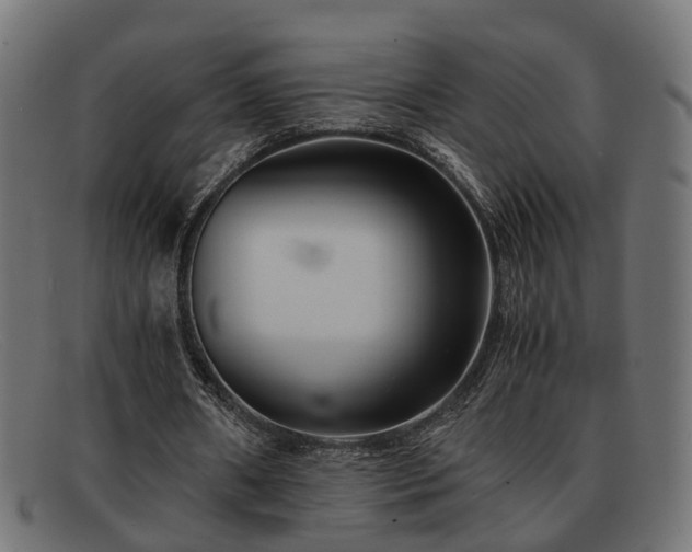 X0000091980482200709131415