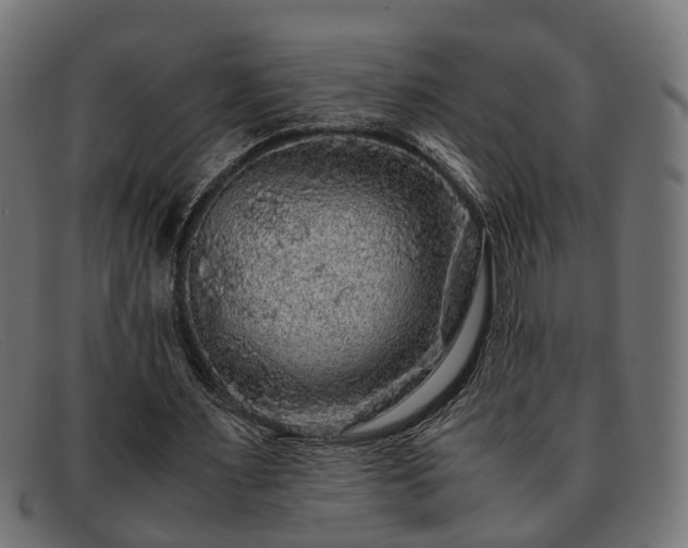 X0000091980483200709131415