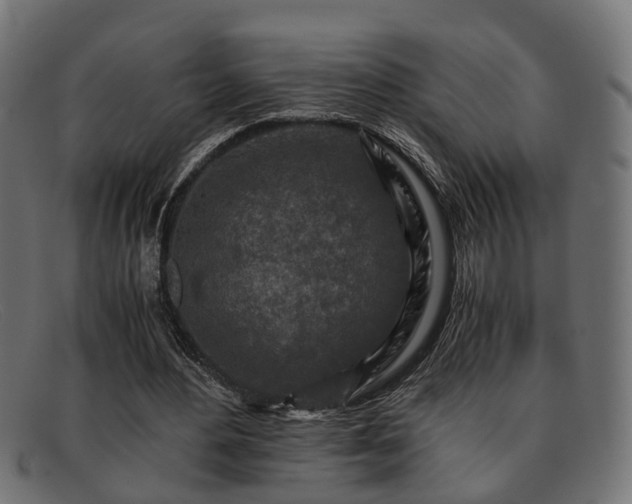 X0000091980484200709131415