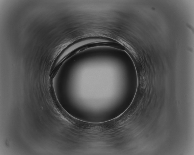 X0000091980485200709131415