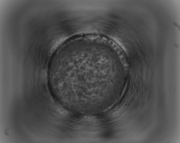 X0000091980487200709131415