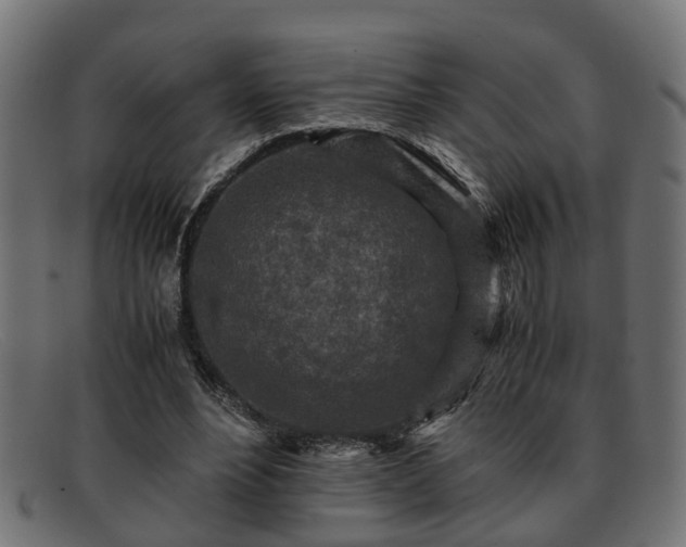 X0000091980488200709131415