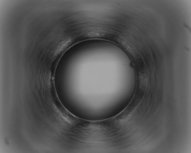 X0000091980490200709131415