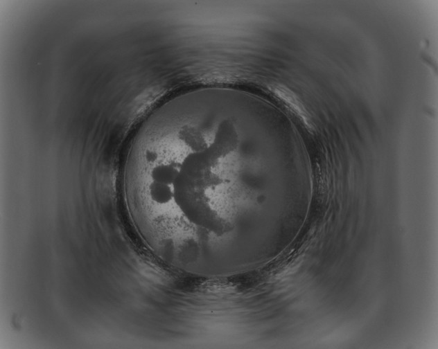 X0000091980491200709131415