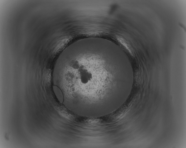 X0000091980495200709131415