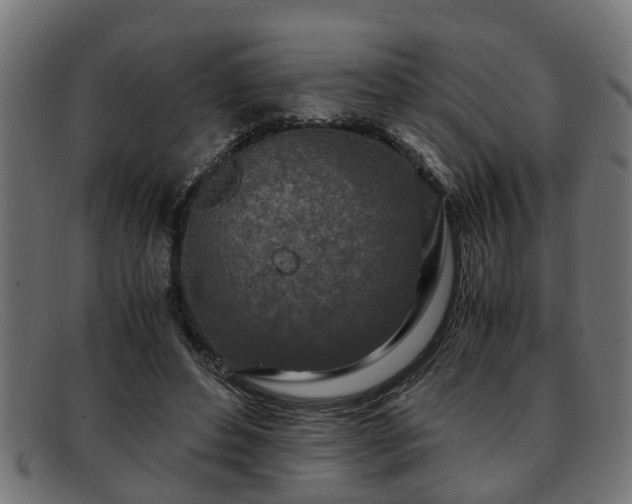 X0000091980496200709131415