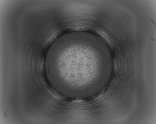 X0000091980499200709131415