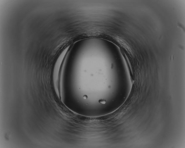 X0000091980501200709131415