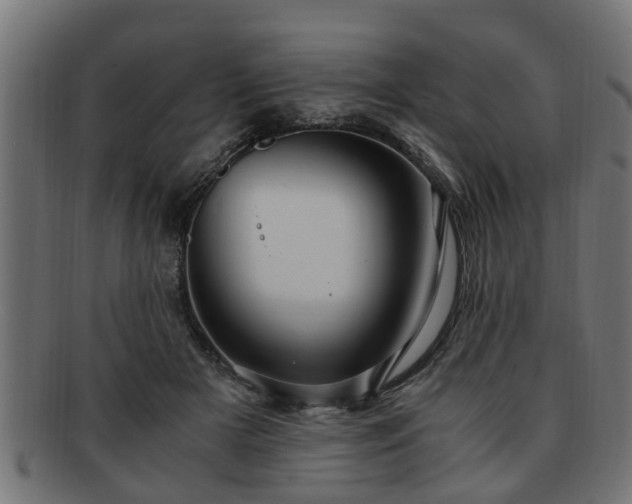 X0000091980505200709131415