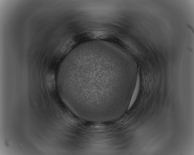 X0000091980506200709131415