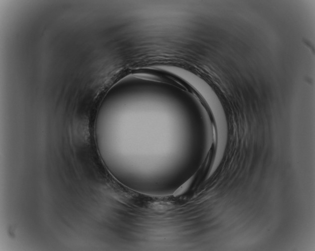 X0000091980508200709131415