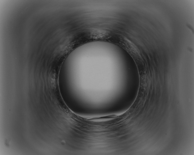 X0000091980510200709131414