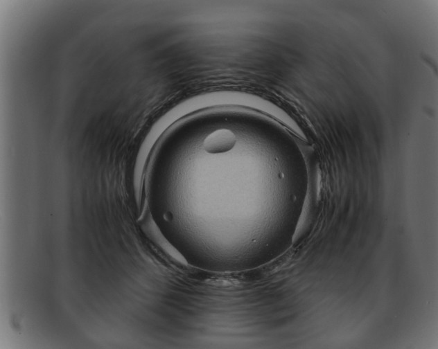 X0000091980512200709131414