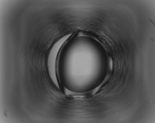 X0000091980516200709131414