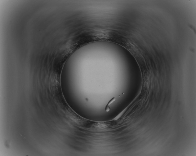 X0000091980518200709131414