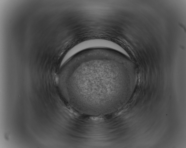 X0000091980520200709131414