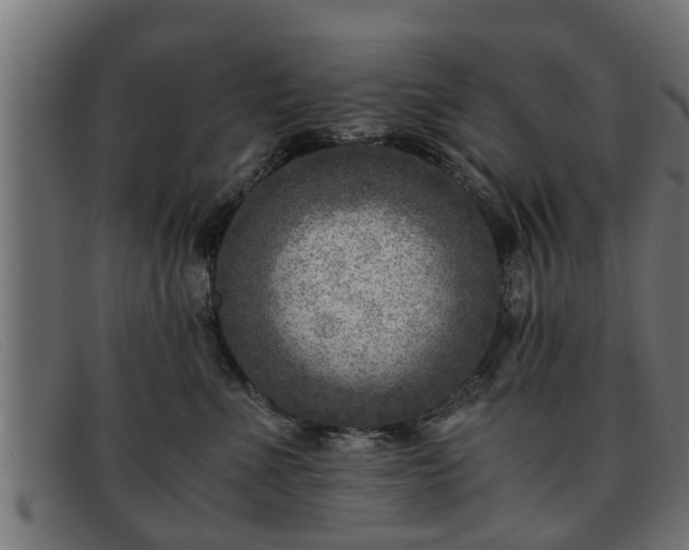 X0000091980523200709131414