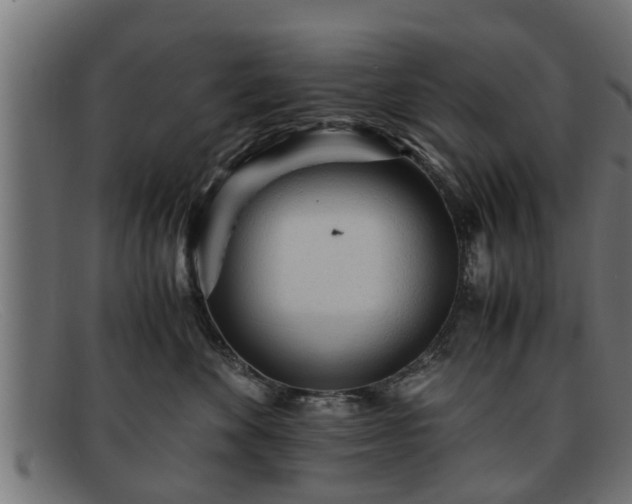 X0000091980524200709131414