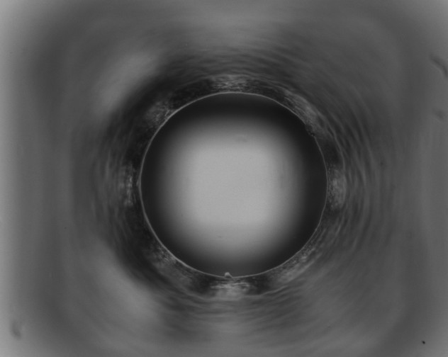 X0000091980525200709131414