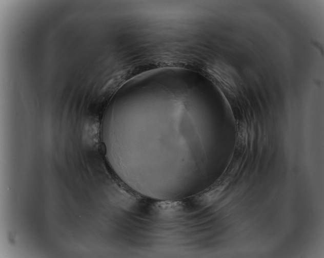 X0000091980526200709131414