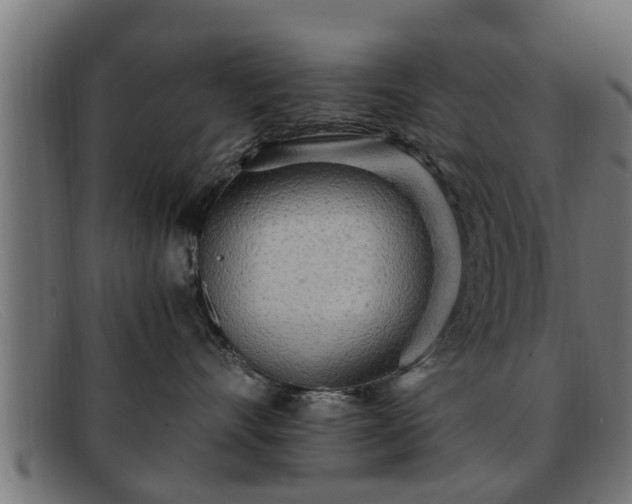 X0000091980528200709131414