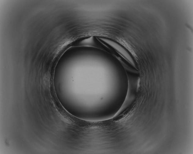 X0000091980530200709131414