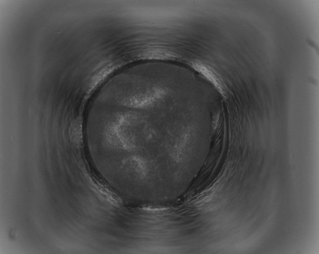 X0000091980531200709131414