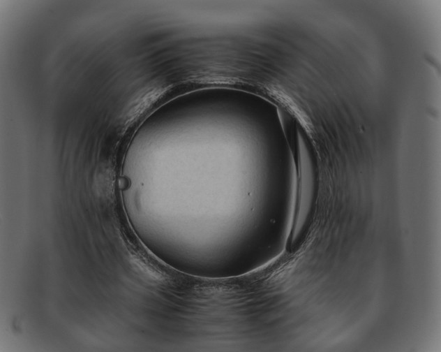 X0000091980533200709131414