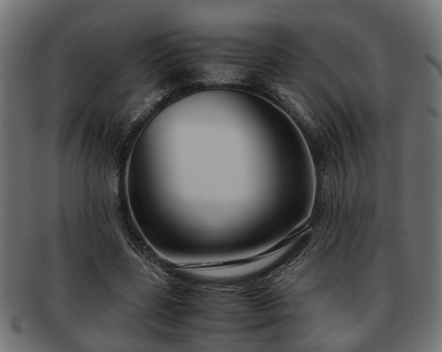 X0000091980539200709131414