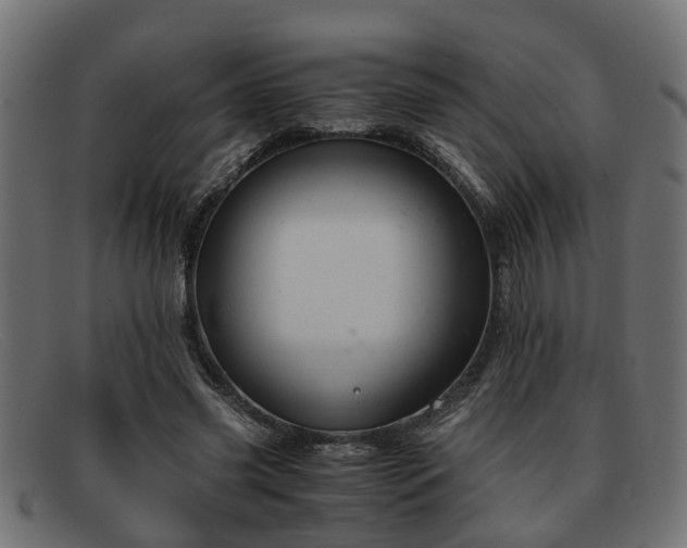 X0000091980541200709131414