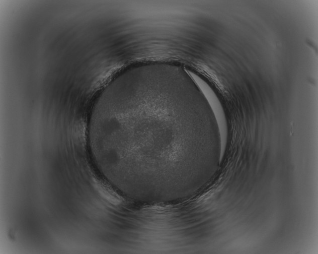 X0000091980542200709131414