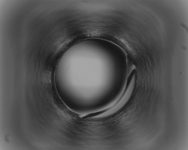 X0000091980543200709131414