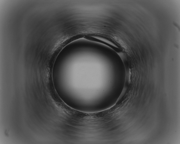 X0000091980544200709131414