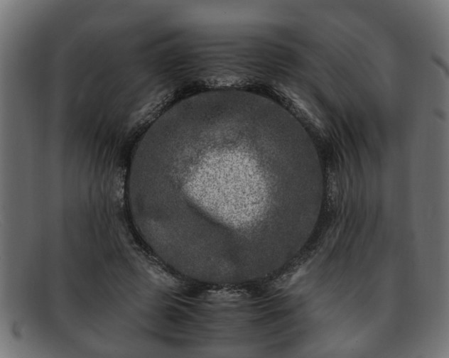 X0000091980545200709131414