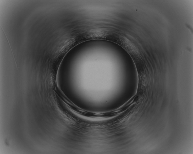 X0000091980546200709131414