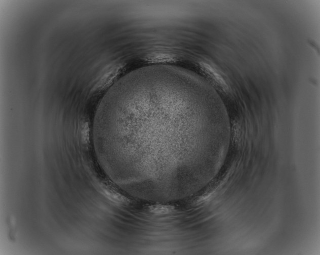 X0000091980549200709131414