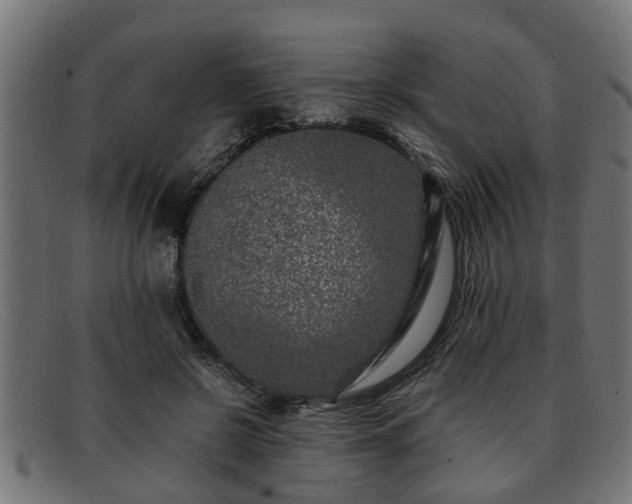 X0000091980550200709131414