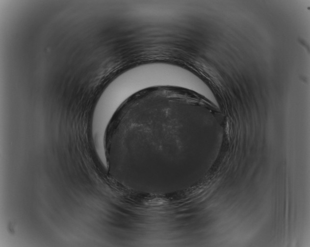 X0000091980551200709131414