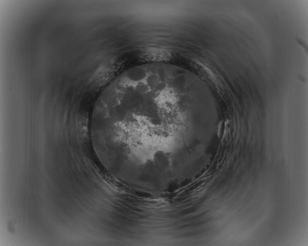 X0000091980553200709131414