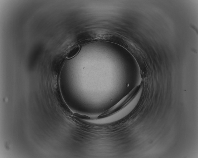 X0000091980554200709131414