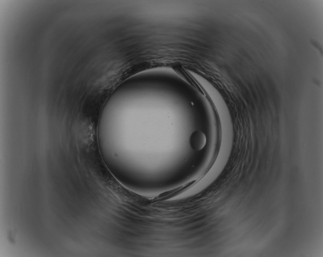 X0000091980555200709131414