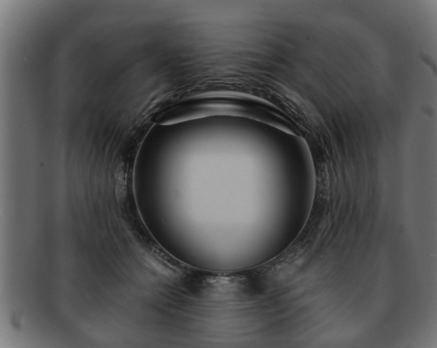 X0000091980558200709131414