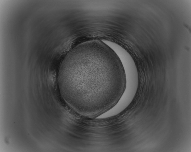 X0000091980559200709131414