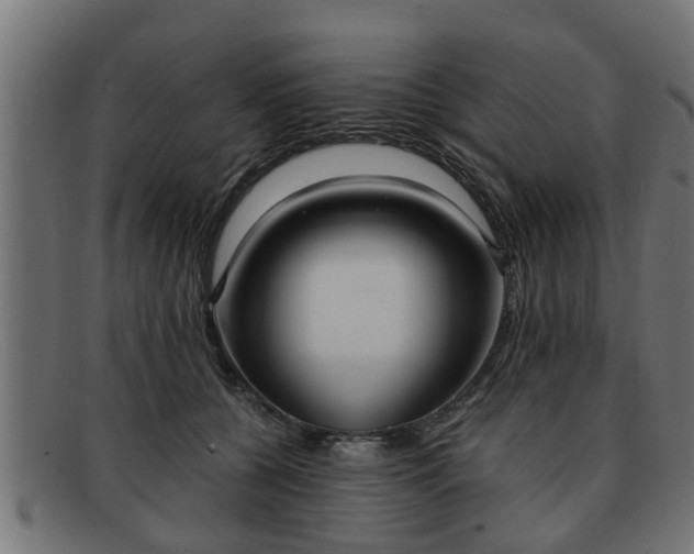 X0000091980560200709131414