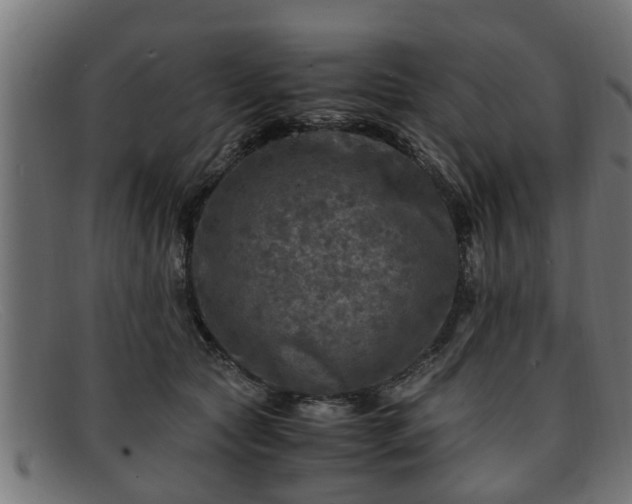 X0000091980561200709131414