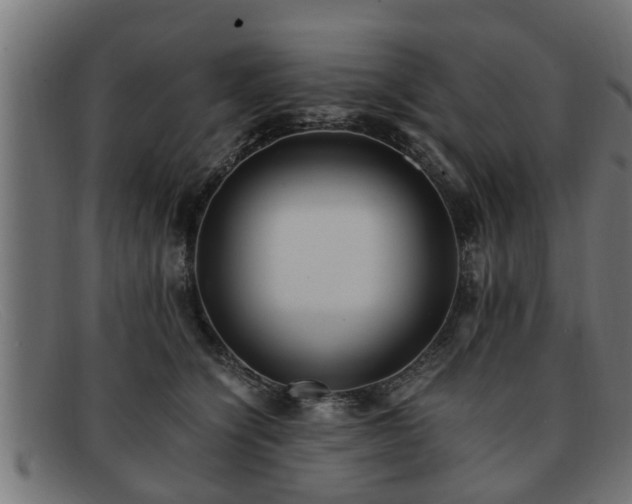 X0000091980564200709131414