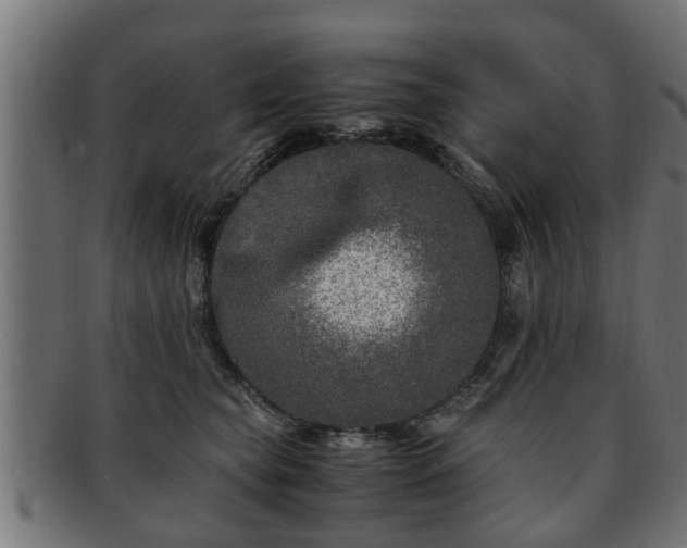 X0000091980565200709131414