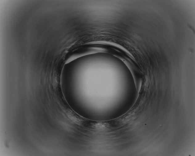 X0000091980566200709131414