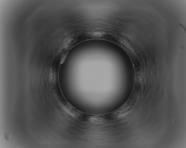 X0000091980568200709131414