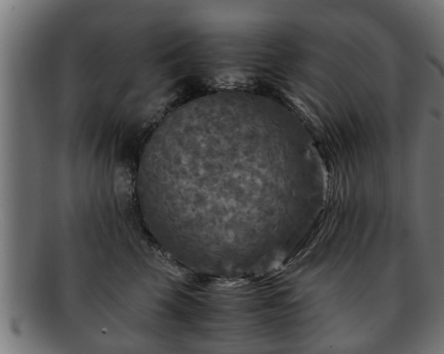 X0000091980569200709131414